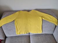 Gelber Pullover S. Oliver Gr. 44 Hessen - Hirschhorn (Neckar) Vorschau