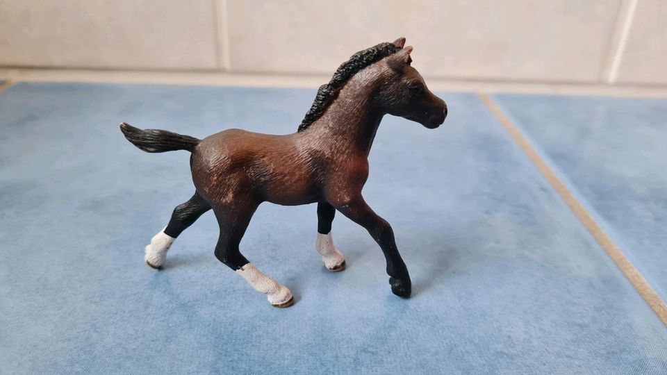 Schleich Pferd Fohlen Hannoveraner Trakehner Andalusier Araber in Schwanewede