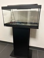 Starter Line LED Aquarium 54 l Sachsen-Anhalt - Halle Vorschau