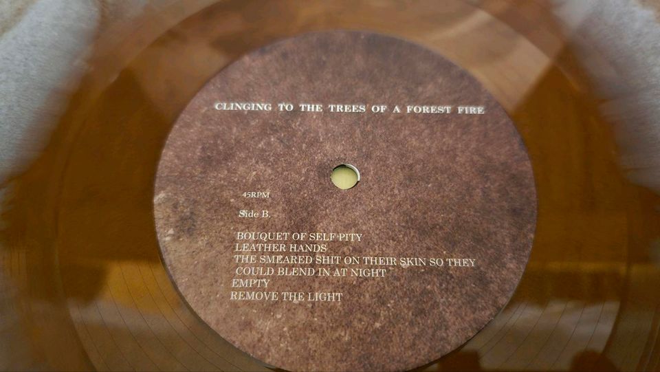 LP '2011' Clinging to the Trees of a Forest Fire-Songs of +B: in Pinneberg