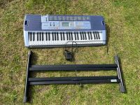 Casio LK-110 Keyboard Berlin - Tempelhof Vorschau