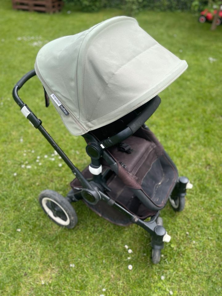 Bugaboo buffalo in Seesen