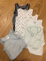 5 Bodys Bodies Kurzarm H&M C&A Gr. 80 maritim Nordrhein-Westfalen - Herford Vorschau