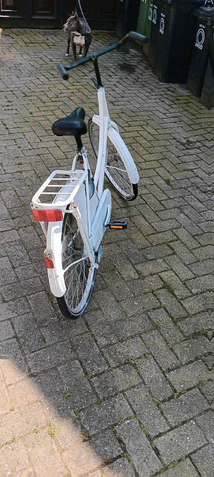 Fahrrad holanda Kinder in Quakenbrück