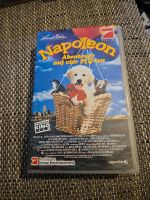 Napoleon Abenteuer auf vier Pfoten VHS Bayern - Bogen Niederbay Vorschau