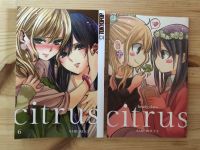 Manga Citrus (girlslove) 6 Sonderedition mit extra Heft Dithmarschen - Tellingstedt Vorschau