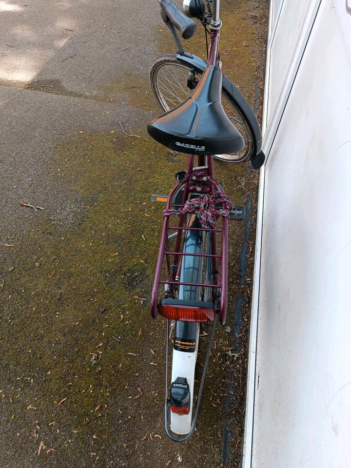 Sehr schönes Fahrrad, sauber, nur der Hinterreifen ist platt in Elsdorf