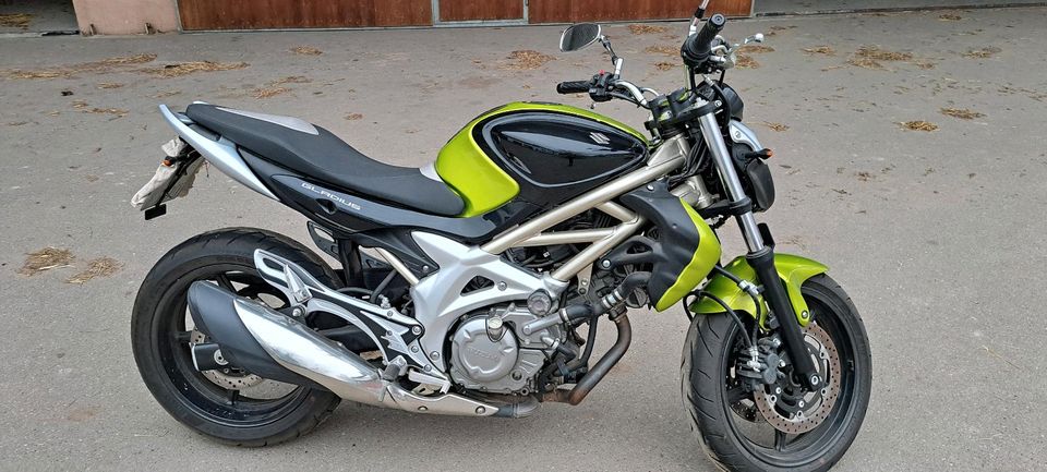 Suzuki Gladius SFV 650 in Berg im Gau