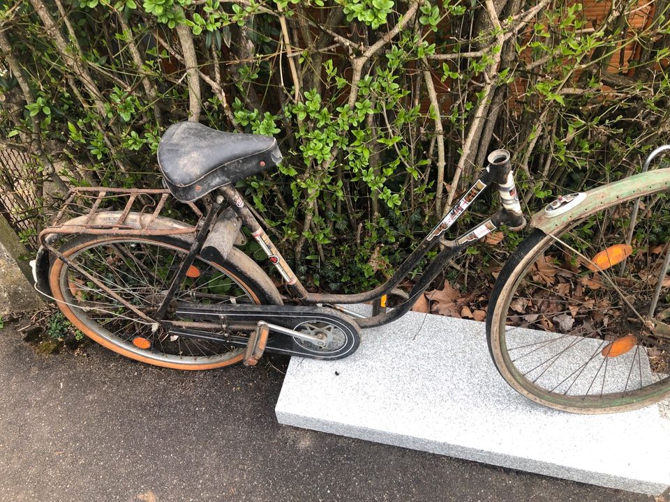 Oldtimer Damen, Fahrrad Staiger, 26 Zoll gegen Gebot in Stuttgart