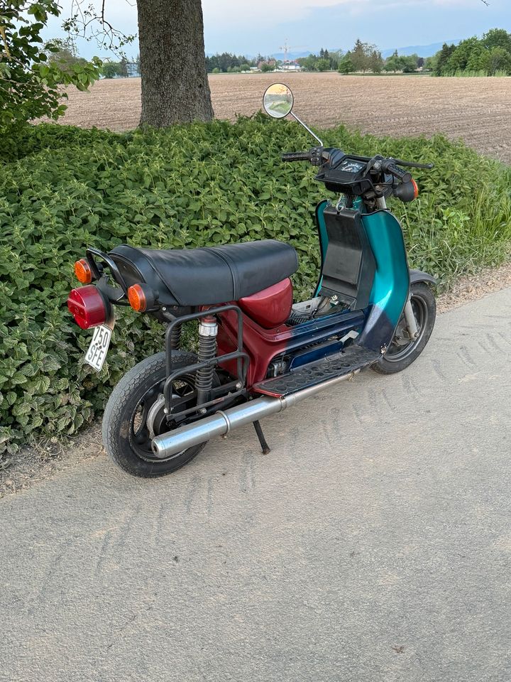 Simson SR 50 in Rheinmünster