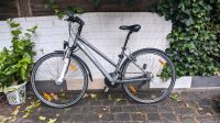 Pegasus Damen Fahrrad (Trekkingbike) Thüringen - Erfurt Vorschau