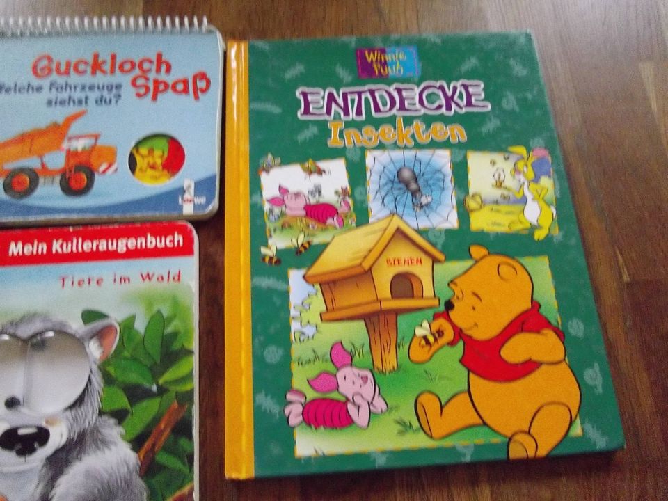 Kinderbücher Kindergarten  Fahrzeuge / Gucklochbuch / Tierbücher in Lichtenau