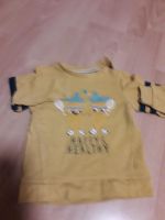 Lustiger Pullover gr.  86 Babyclub Niedersachsen - Osnabrück Vorschau