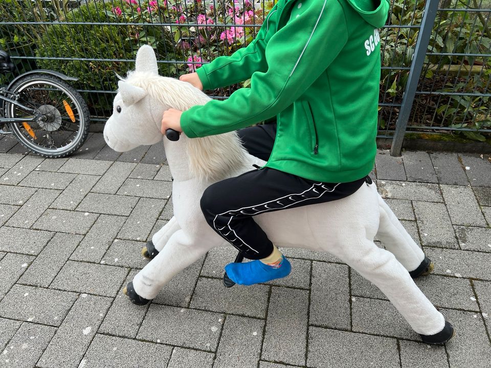 spiel pferd galopp abzugeben in Leichlingen