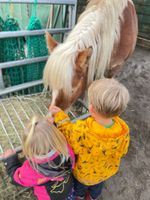 Reitunterricht für Grundschulkinder/Hippolini©/Pony Events Baden-Württemberg - Buchen (Odenwald) Vorschau