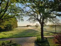 Wohnen mitten im Grünen, aber doch zentral: das Wiesenzimmer 26 q Niedersachsen - Westerstede Vorschau