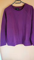 Pulli, Sweatshirt Hessen - Hessisch Lichtenau Vorschau