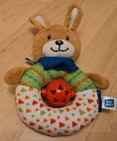 Rassel Hase Bayern - Halfing Vorschau