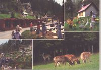 Saalburg, Märchenwald, Anfang der 1990er Jahre, Puppen, Tierpark Niedersachsen - Braunschweig Vorschau