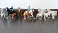 Schleich Pferde Reiter Bayala Einhörner Pegasus Elfen Eyela Feya Berlin - Treptow Vorschau