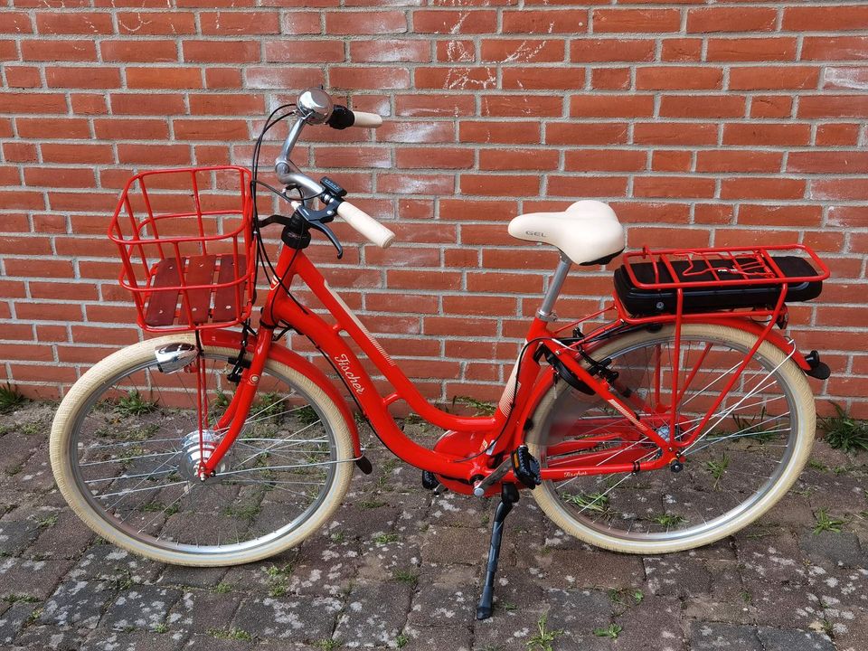 Fischer City E-Bike Cita 2.0 RETRO Neu! mit Rücktritt! in Neubrandenburg