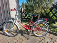 Kinderfahrrad 20 Zoll Sachsen - Großharthau-Seeligstadt Vorschau