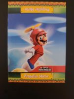 Nintendo new Super Mario Bros Wii Trading Cards Aachen - Aachen-Mitte Vorschau