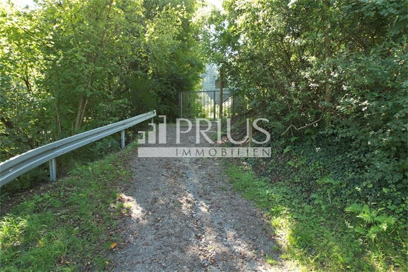 Unikat in absoluter Alleinlage am Hang, Landsitz für Naturfreunde in Eppstein