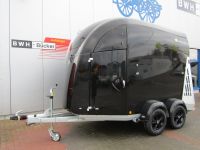 Bücker Trailer Careliner M Pferdeanhänger, 2400 kg, Holzfrei Nordrhein-Westfalen - Emsdetten Vorschau