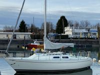 Contessa 28 Segelyacht zu verkaufen Bayern - Lindau Vorschau