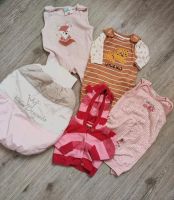 Kleidungspaket Newborn Paket Babykleidung Strampler Größe 50/56 Niedersachsen - Neustadt am Rübenberge Vorschau