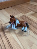 Schleich Fohlen Flensburg - Fruerlund Vorschau