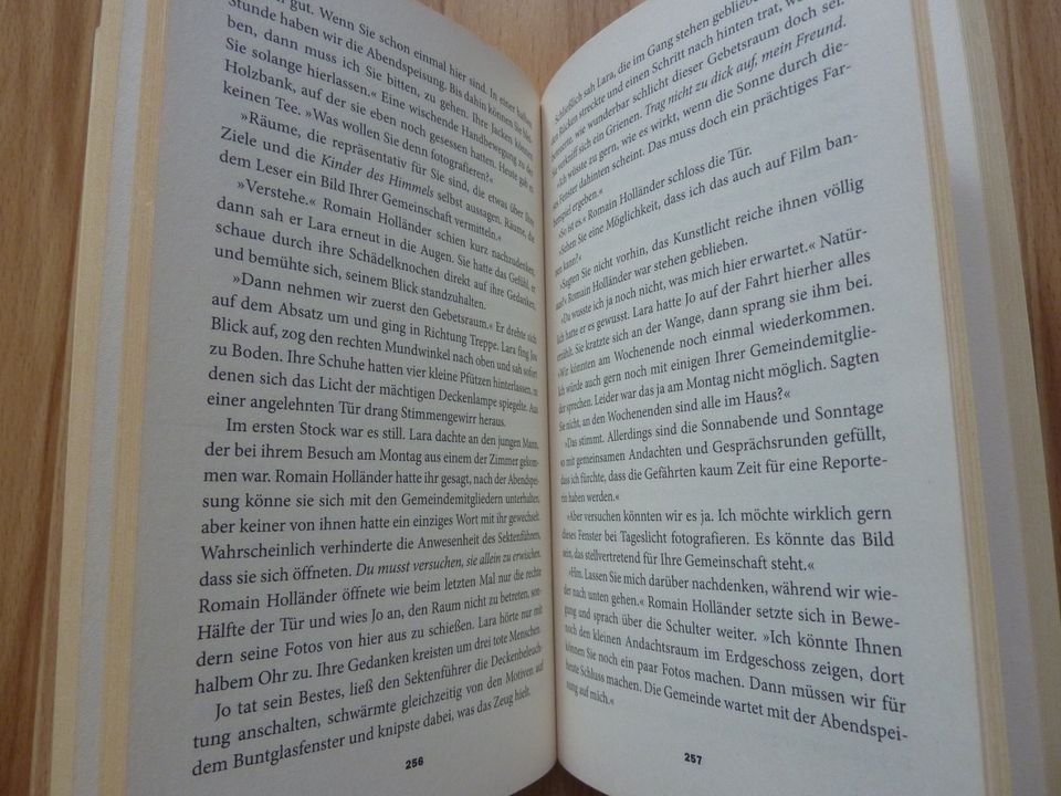 Bücher - Thriller "Sündenkreis", "Sensenmann", "Der Totschneider" in Hettstedt