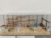 Glas Käfig für Kleintier mit Zubehör Niedersachsen - Oyten Vorschau