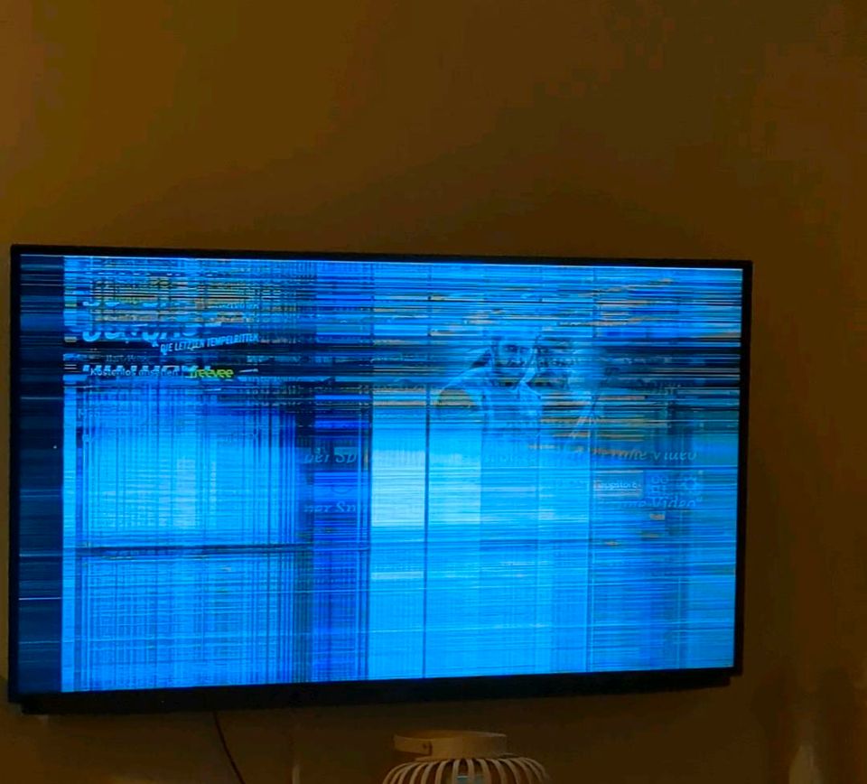 TV Grundig 50 Zoll Bildschirmschaden in Metelen