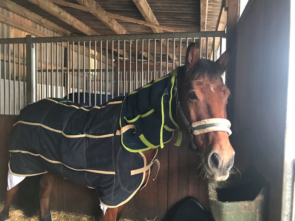 EQUISPA Wärme-und Kältetherapie fürs Pferd in Riedlingen