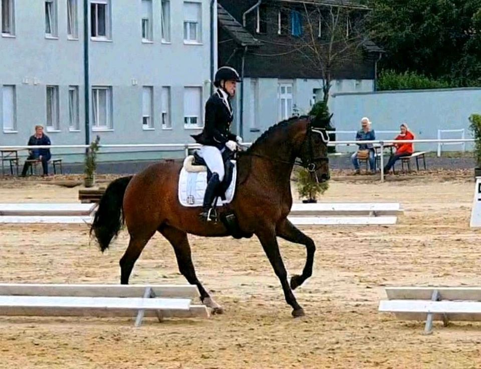 Beritt mobil oder Vollberitt , Reitunterricht in Rheinberg