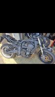 Kawasaki Z1000 2009 ABS Rahmen Motor Gabel Teile u Hessen - Friedberg (Hessen) Vorschau