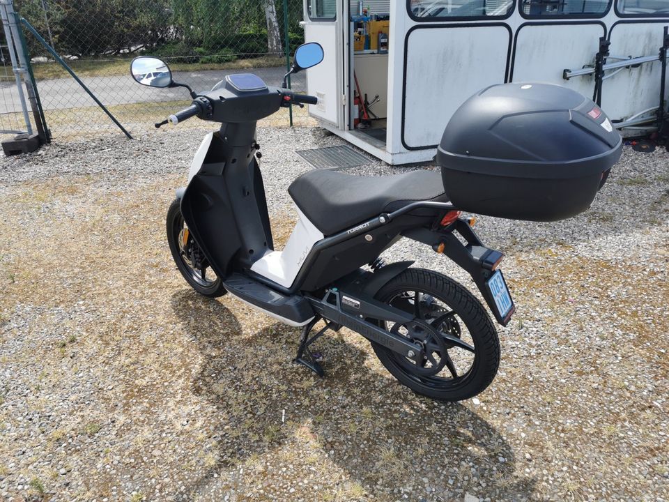 E Moped  Torrot MUVI City in Ribnitz-Damgarten