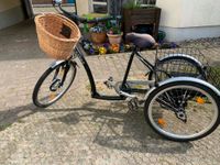 Ich biete ein Dreirad für Erwachsene mit Motor Brandenburg - Nauen Vorschau