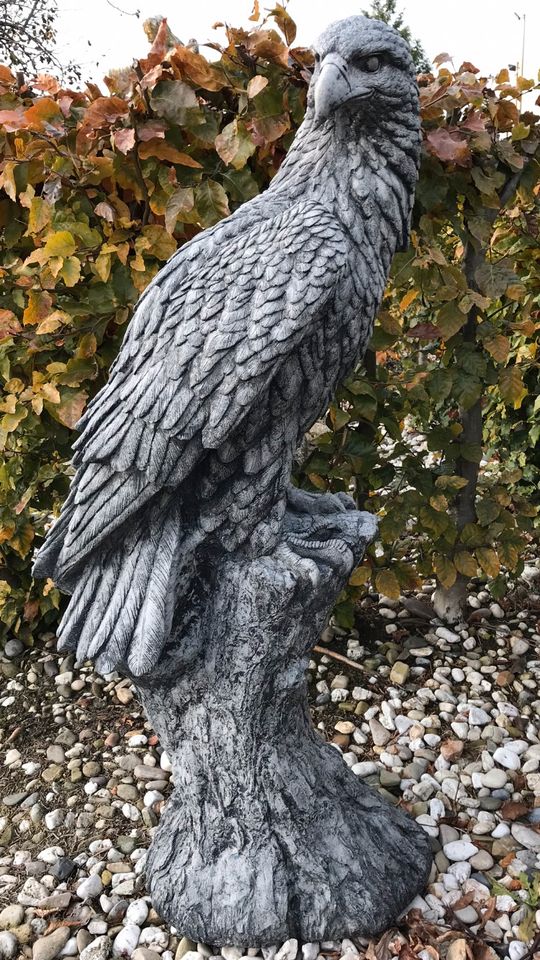 Adler 100kg 106cm Steinadler Seeadler Greifvogel Eagle Harley SGE in Düsseldorf