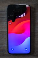 iPhone 13 Pro Max 128gb Sierrablau Nordrhein-Westfalen - Euskirchen Vorschau