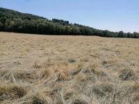 Heu in Rundballen Rheinland-Pfalz - Oberweis Vorschau