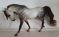 MODELLPFERD BREYER ARAB S MONIET dappl ROSE GRAY CM CLAUS LSQ Hessen - Oberursel (Taunus) Vorschau