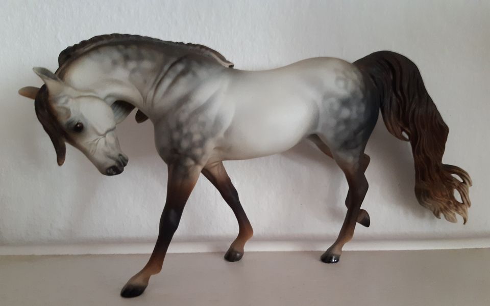 MODELLPFERD BREYER ARAB S MONIET dappl ROSE GRAY CM CLAUS LSQ in Oberursel (Taunus)