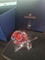 Swarovski blühende Rose rot Sammlerstück Bayern - Cham Vorschau