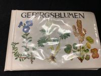 Gebirgsblumen in Skandinavien Olav Gjærevoll Pflanzenkunde Arten Niedersachsen - Emden Vorschau