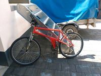 Koga Miyata Mountainbike Bike Rahmenhöhe 47 Nordrhein-Westfalen - Rheinbach Vorschau