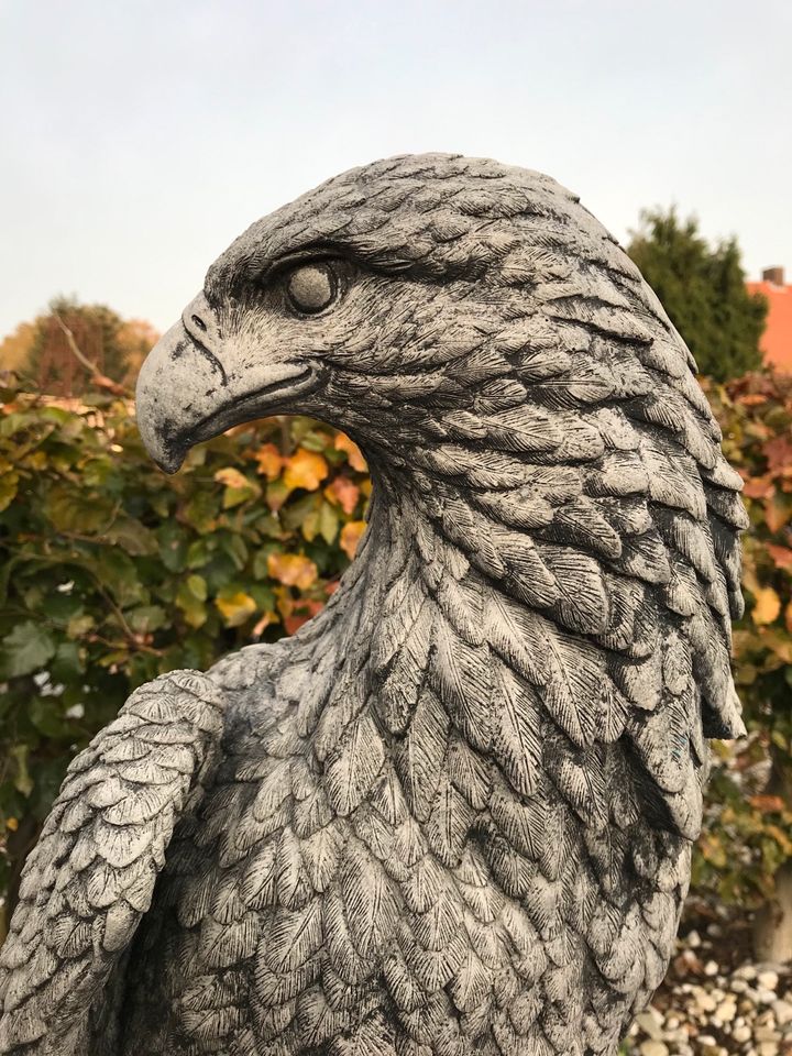 ‼️Adler 100kg 106cm Steinadler Seeadler Greifvogel Eagle Harley‼️ in Kleve