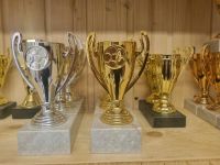 Neue Pokale Trophäen Sport Fussball Kinderspiele Baden-Württemberg - Wutöschingen Vorschau